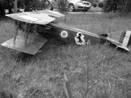 SPAD XIII  - Francesco Baracca 91a Sqadriglia, It�lie, �erven 1918
