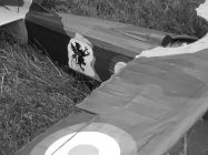 SPAD XIII  - Francesco Baracca 91a Sqadriglia, It�lie, �erven 1918