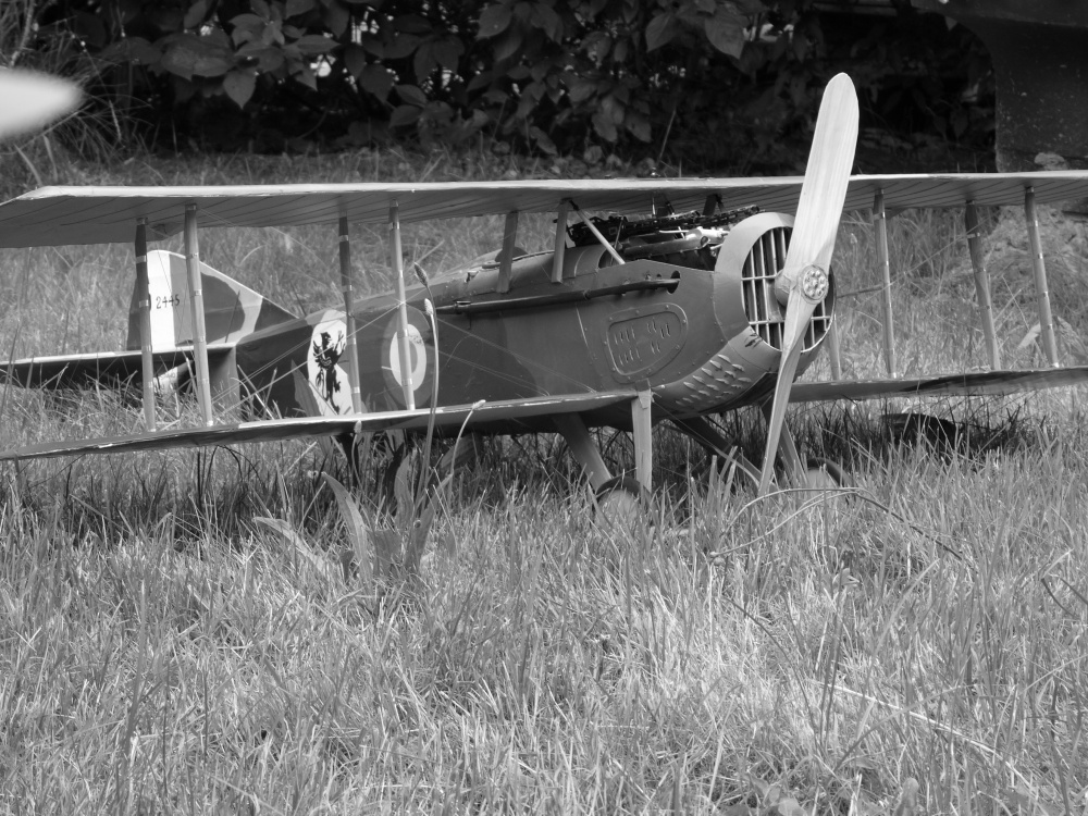 SPAD XIII - Francesco Baracca 91a Sqadriglia, Itálie, červen 1918 (Plná velikost v novém okně) SPAD XIII - Francesco Baracca 91a Sqadriglia, Itálie, červen 1918