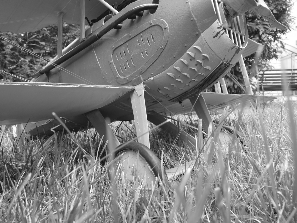 SPAD XIII - Francesco Baracca 91a Sqadriglia, Itálie, červen 1918 (Plná velikost v novém okně) SPAD XIII - Francesco Baracca 91a Sqadriglia, Itálie, červen 1918