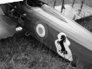 SPAD XIII  - Francesco Baracca 91a Sqadriglia, It�lie, �erven 1918