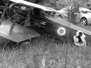 SPAD XIII  - Francesco Baracca 91a Sqadriglia, It�lie, �erven 1918