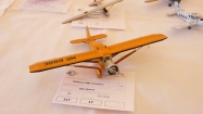 Beskyd model kit show 2019