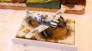 Beskyd model kit show 2019