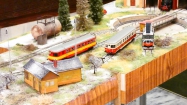 Beskyd model kit show 2019