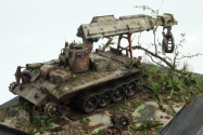 IMR-1