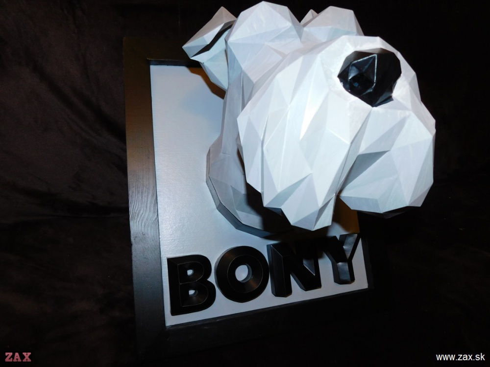 Schnauzer head (Plná velikost v novém okně) Schnauzer head