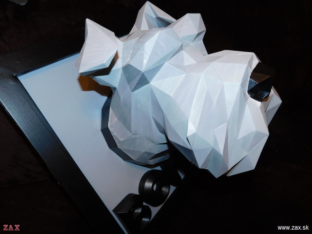 Schnauzer head