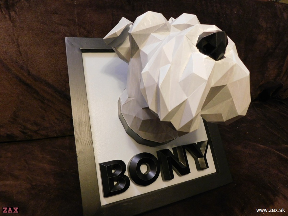 Schnauzer head (Plná velikost v novém okně) Schnauzer head
