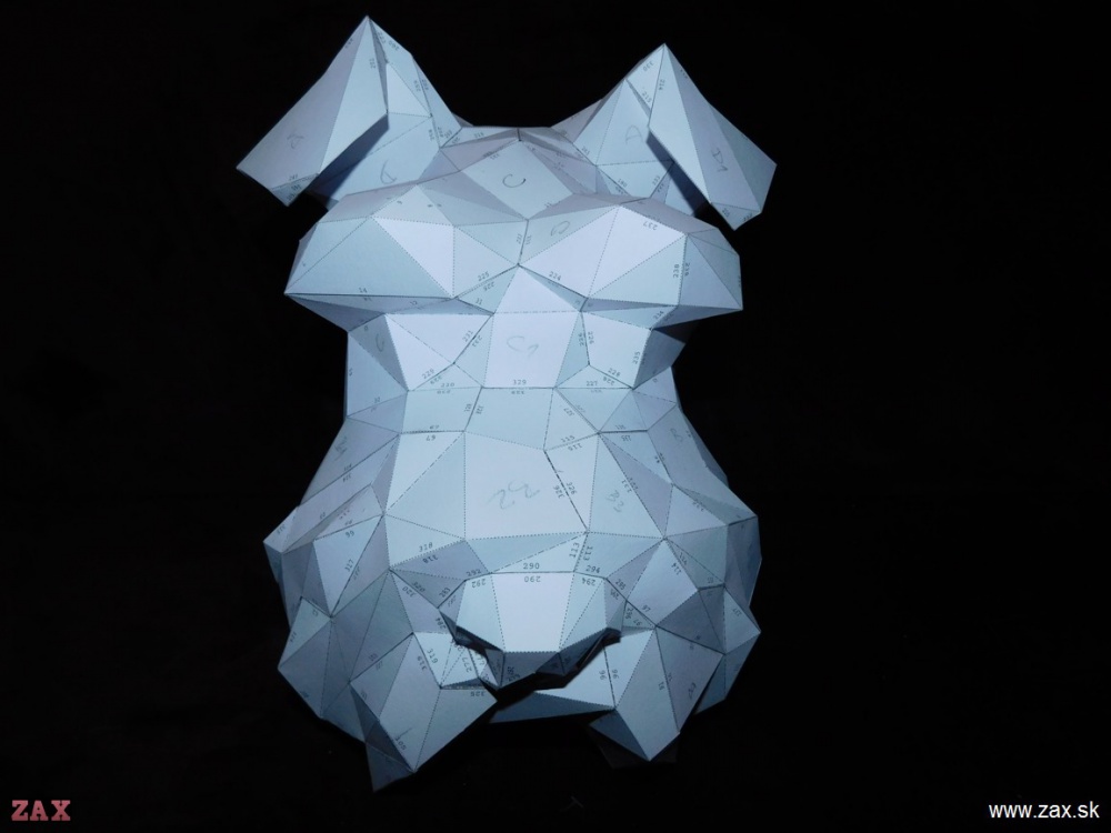 Schnauzer head (Plná velikost v novém okně) Schnauzer head
