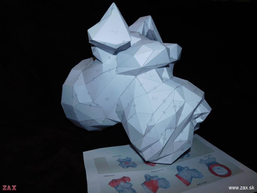 Schnauzer head