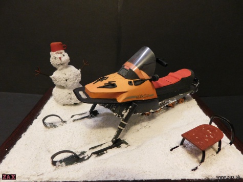 Ski-doo Alpine III