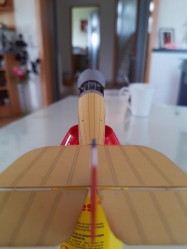 Bristol Scout