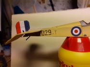 Bristol Scout