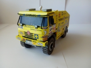 Tatra 815 4x4, Rallye Dakar 2006