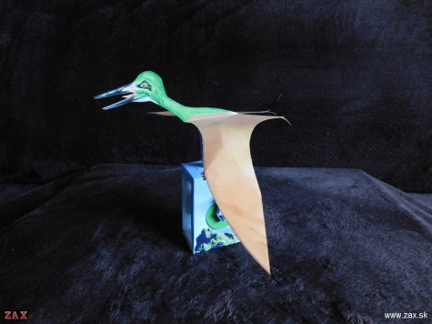 PTERODACTYLUS PTERODACTYLUS
