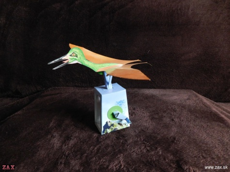 PTERODACTYLUS PTERODACTYLUS