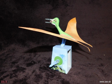 PTERODACTYLUS PTERODACTYLUS