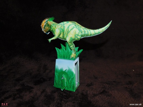 PACHYCEPHALOSAURUS PACHYCEPHALOSAURUS
