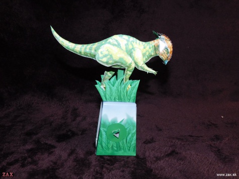 PACHYCEPHALOSAURUS PACHYCEPHALOSAURUS