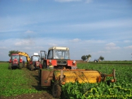Zetor Crystal 12045 + oto�en� ��zen� (vlastn� �prava)