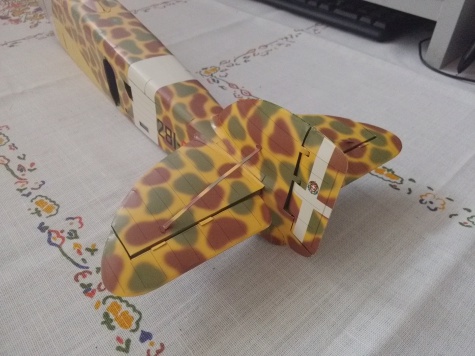 Sparviero Sparviero