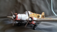 Sparviero