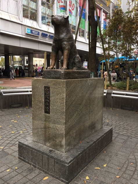 Hačiko Hačiko