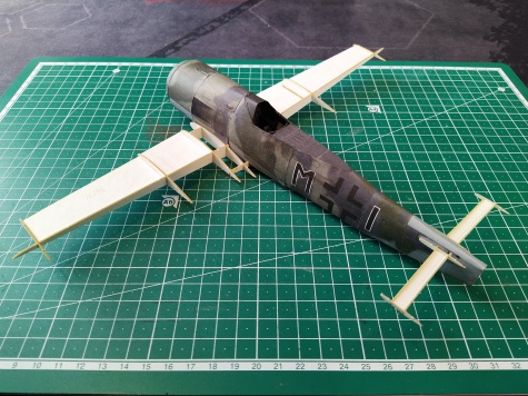 Focke-Wulf FW-190 F-8