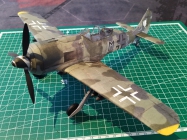 Focke-Wulf FW-190 F-8