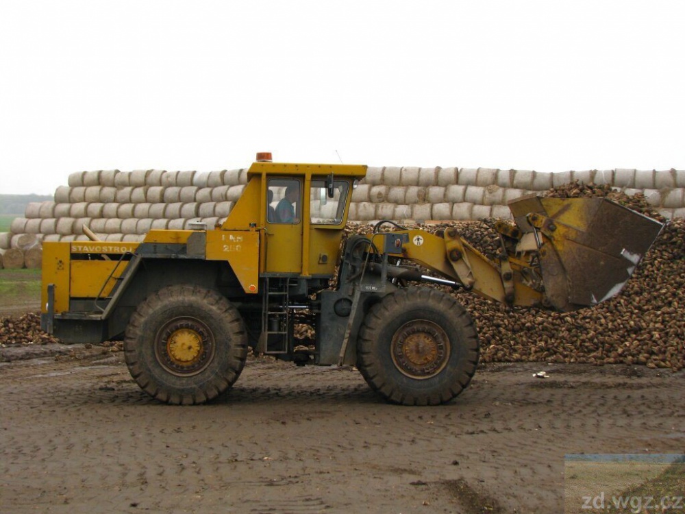 390586