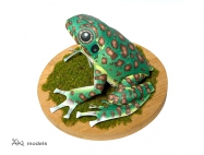 Rhacophorus arboreus (japonsk� rosni�ka)