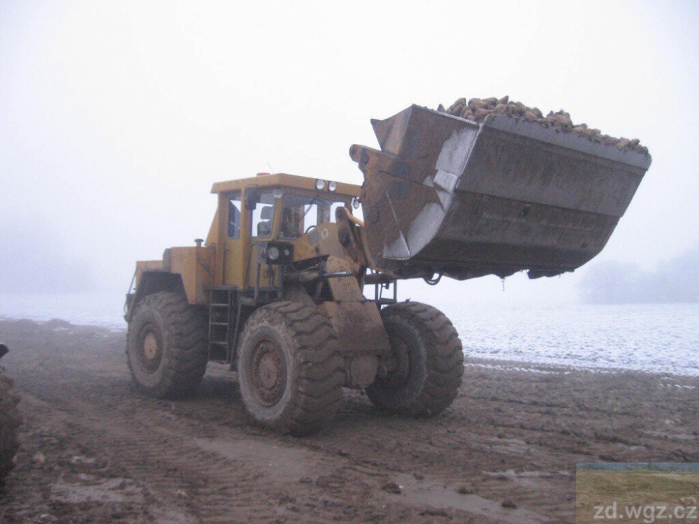 392575