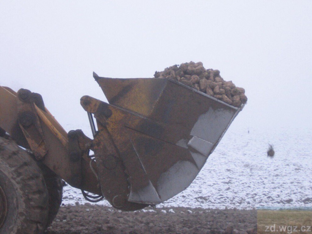 392576