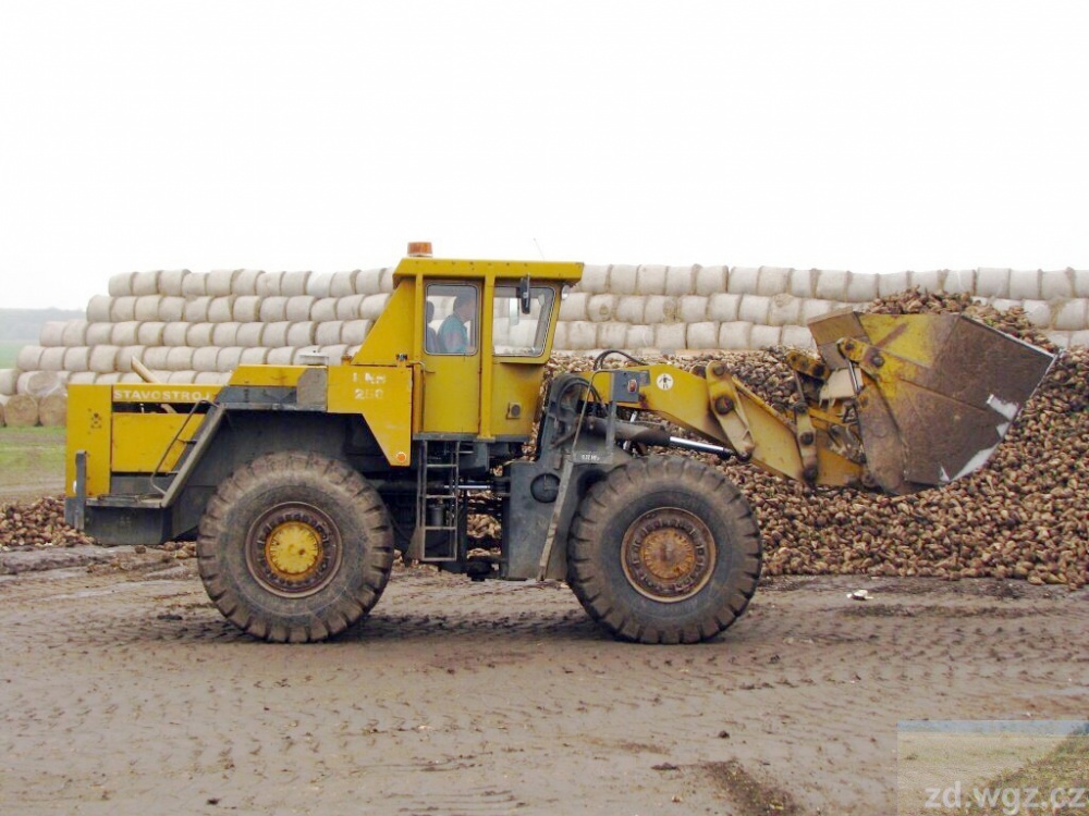 397645