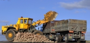 KNB 250 AGRO B�stovice / HOTOVO