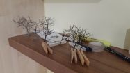 Severo�esk� skanzen, ABC