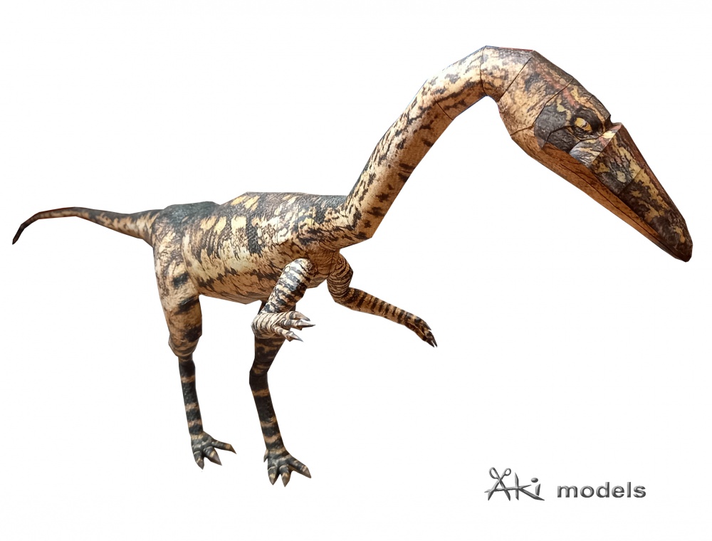Coelophysis (Pln� velikost v nov�m okn�) Coelophysis