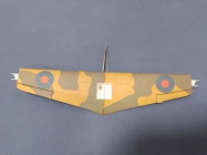 Curtiss Tomahawk IIB / Hallinski / 1:33