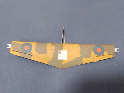 Curtiss Tomahawk IIB / Hallinski / 1:33 Curtiss Tomahawk IIB / Hallinski / 1:33