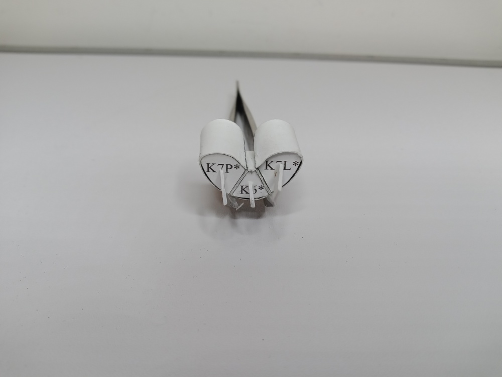 406659