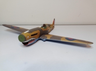 Curtiss Tomahawk IIB / Hallinski / 1:33