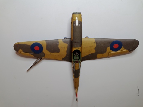 Curtiss Tomahawk IIB / Hallinski / 1:33 Curtiss Tomahawk IIB / Hallinski / 1:33