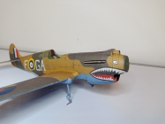 Curtiss Tomahawk IIB / Hallinski / 1:33