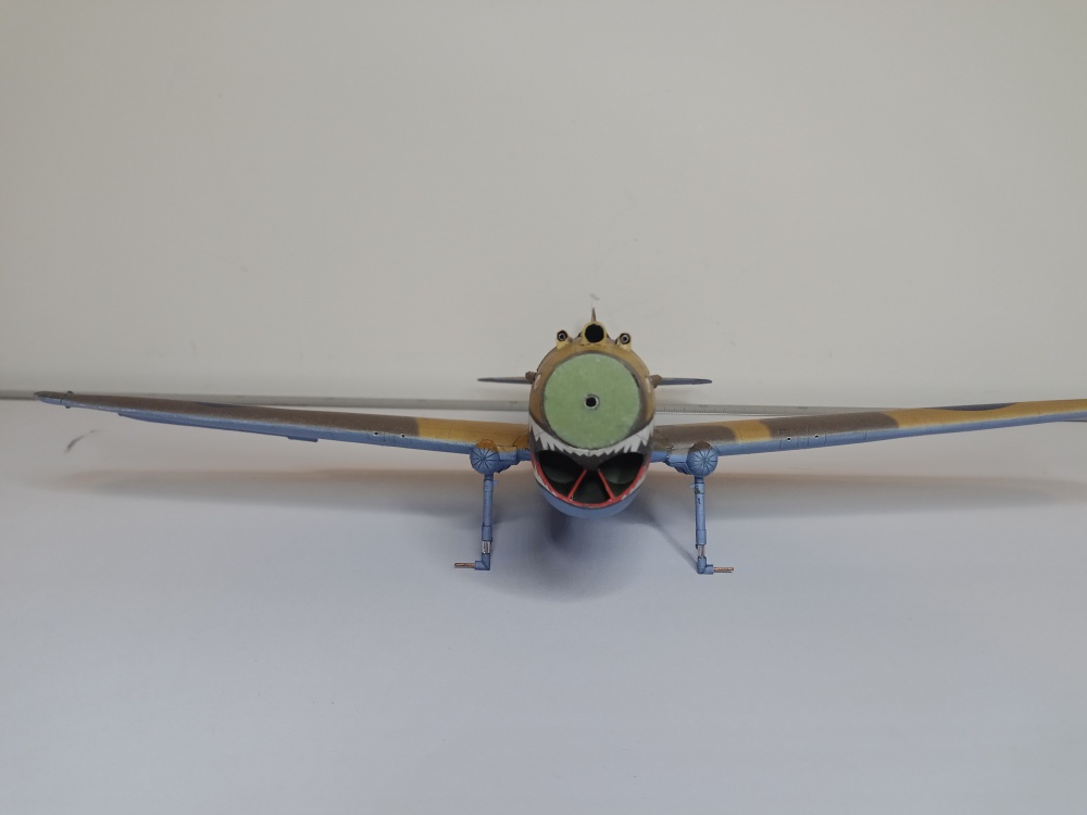 Curtiss Tomahawk IIB / Hallinski / 1:33 (Plná velikost v novém okně) Curtiss Tomahawk IIB / Hallinski / 1:33