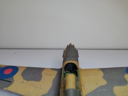 Curtiss Tomahawk IIB / Hallinski / 1:33