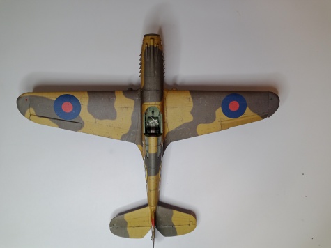 Curtiss Tomahawk IIB / Hallinski / 1:33 Curtiss Tomahawk IIB / Hallinski / 1:33