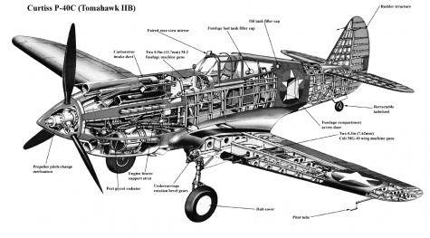 Curtiss Tomahawk IIB / Hallinski / 1:33 Curtiss Tomahawk IIB / Hallinski / 1:33