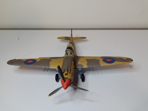 Curtiss Tomahawk IIB / Hallinski / 1:33 Curtiss Tomahawk IIB / Hallinski / 1:33
