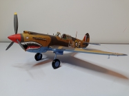 Curtiss Tomahawk IIB / Hallinski / 1:33